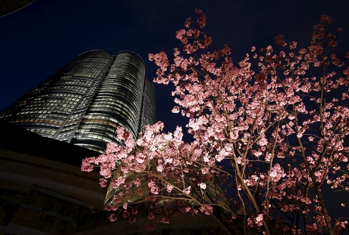 Roppongi Hills Mori Tower building στο Tokyo,Ιαπωνία, REUTERS/Toru Hanai 