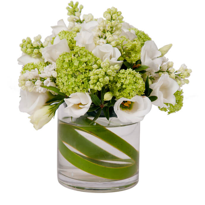 Σύνθεση Fleria