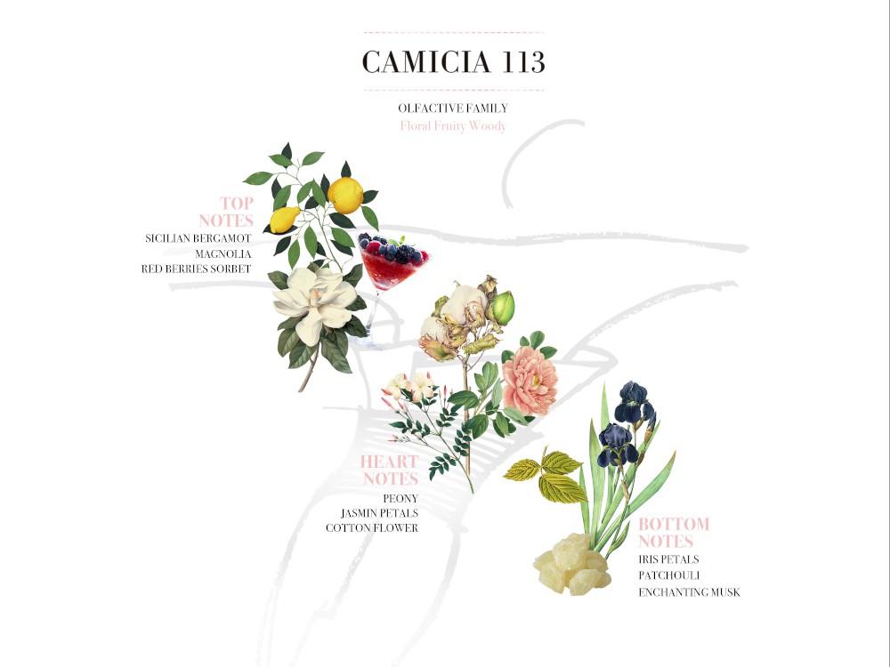 Camicia 113: Ένας κλασικός αριθμός με σύγχρονη διάθεση