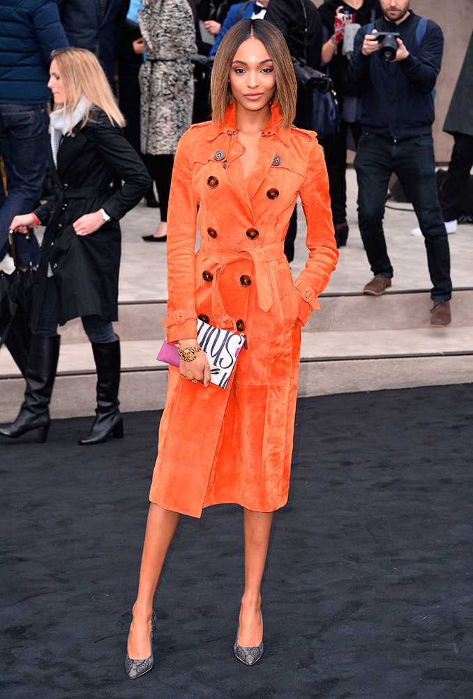 Jourdan Dunn 