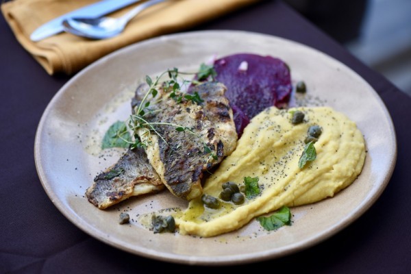 «Ancient Gourmet», η αναγέννηση της αρχαίας ελληνικής γαστρονομίας