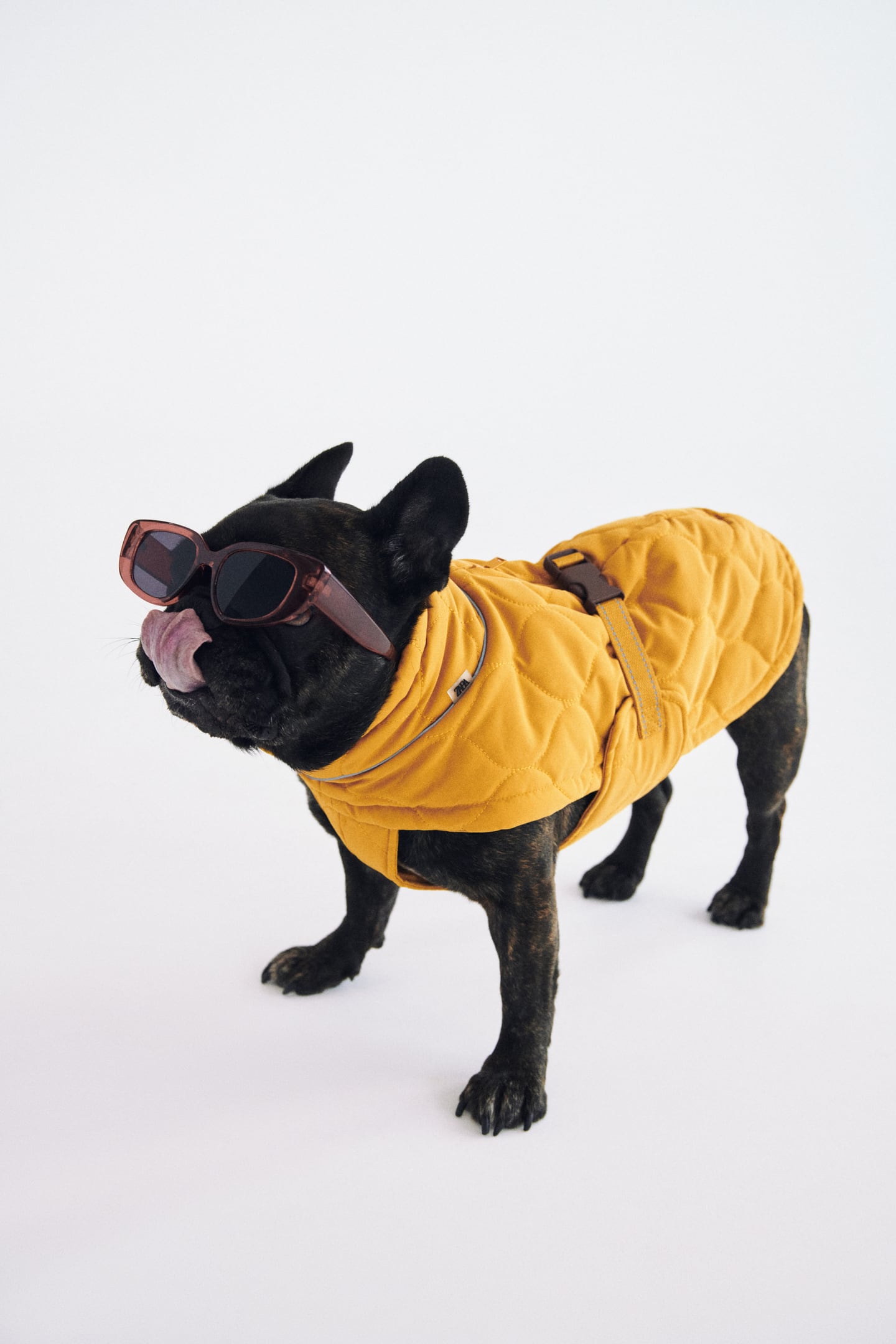 Καπιτονέ σακάκι για σκύλο, 25,95€, Zara Pet Collection.