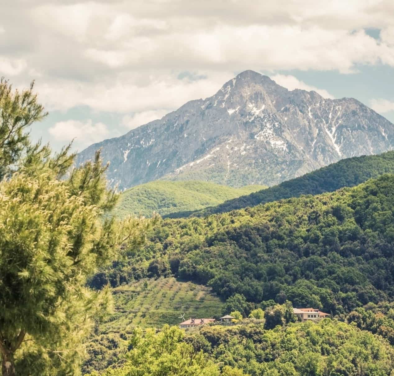 Athonites: Αγνή περιποίηση με βιολογικά εκχυλίσματα από το Όρος Άθως