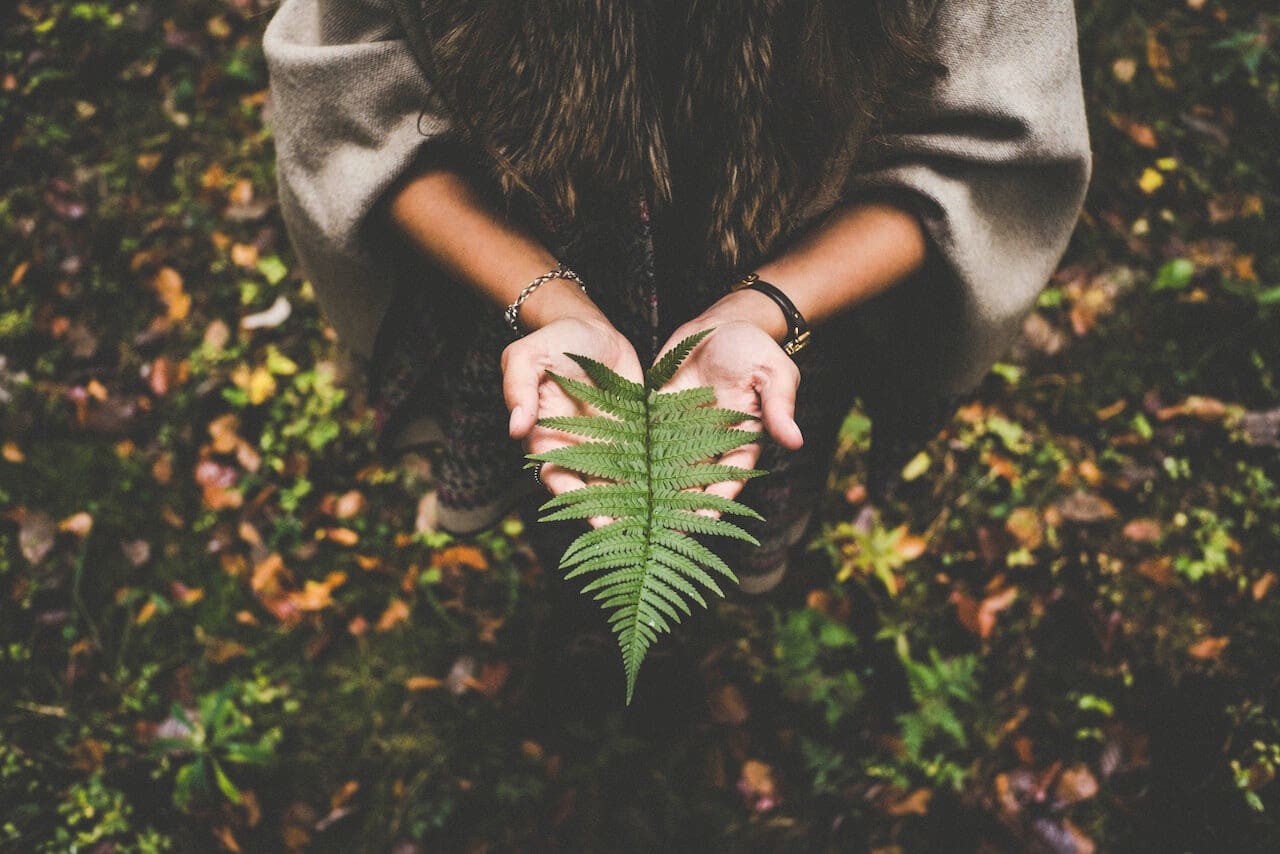 Lucas Almann, Pexels