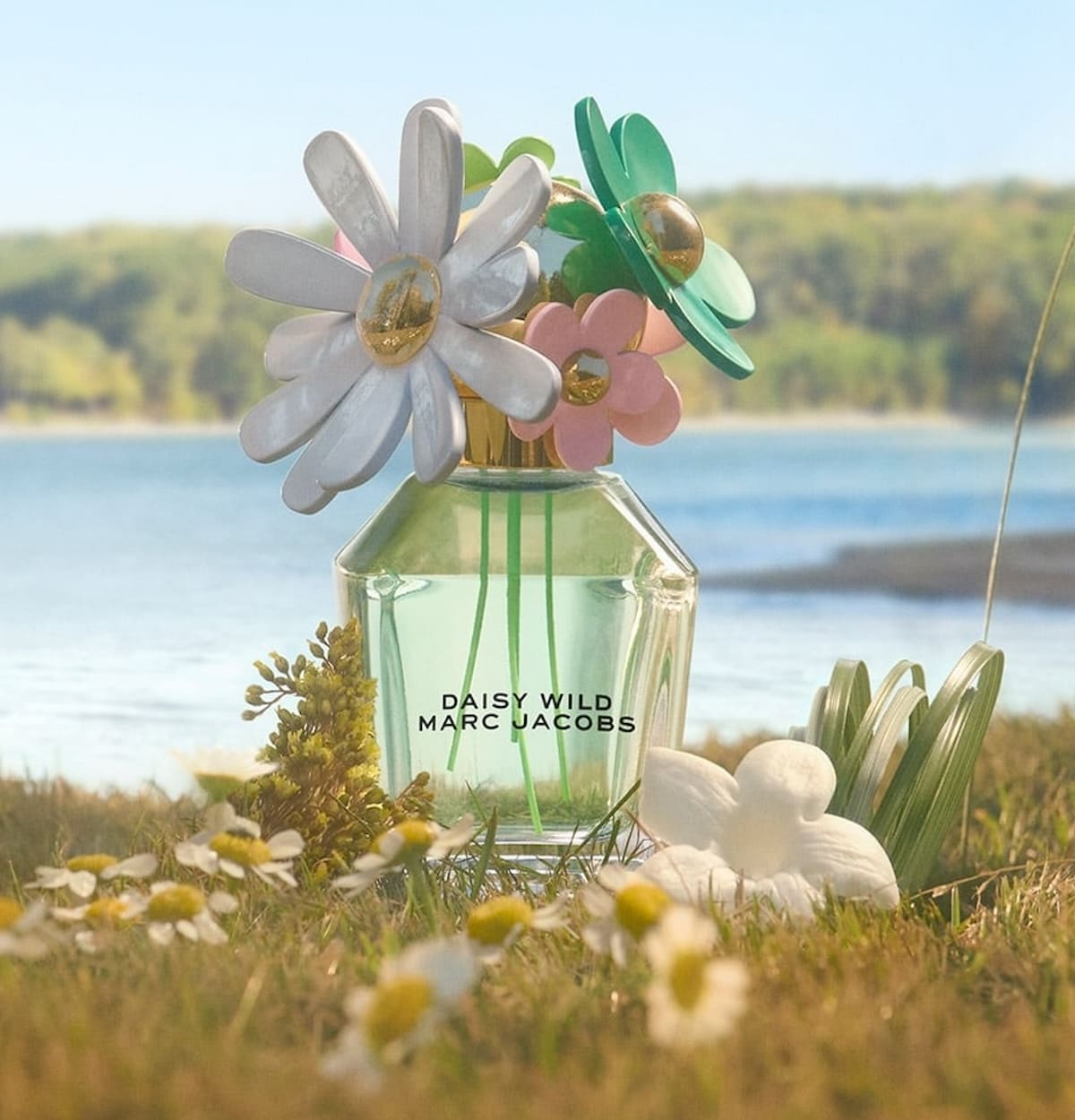 Marc Jacobs, Daisy Wild