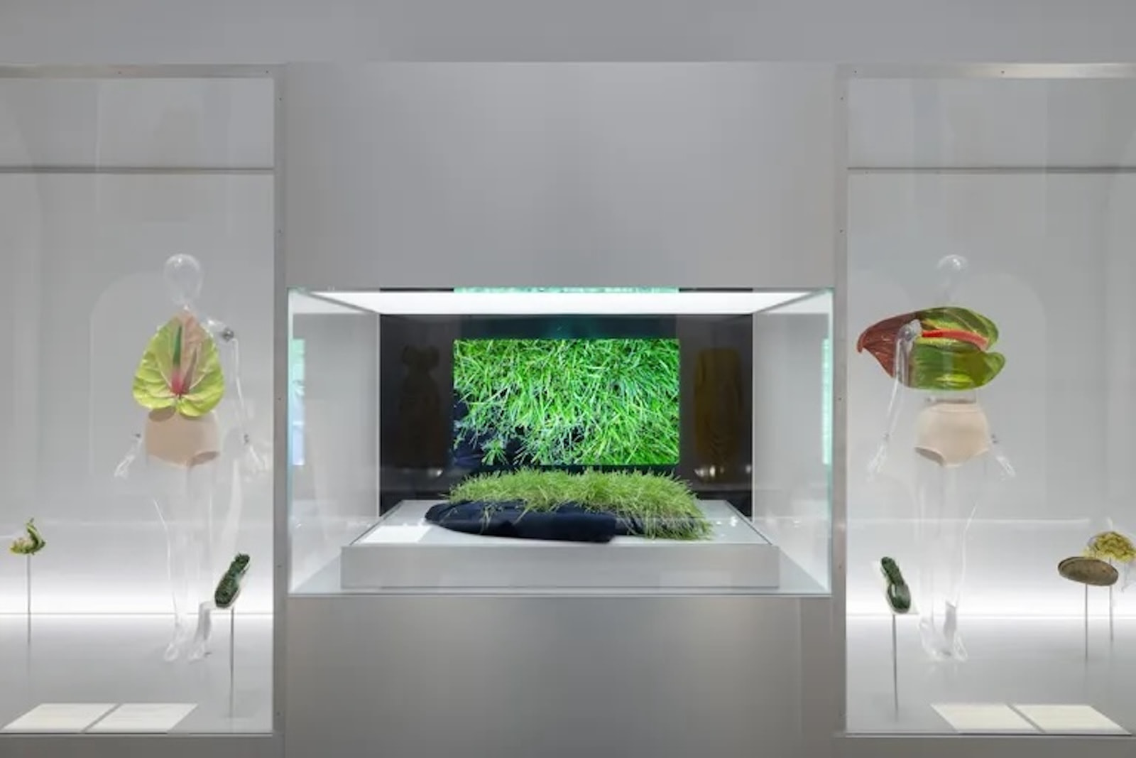 "The Garden"