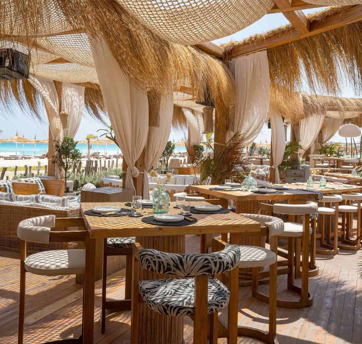 The Lemon Tree & Co