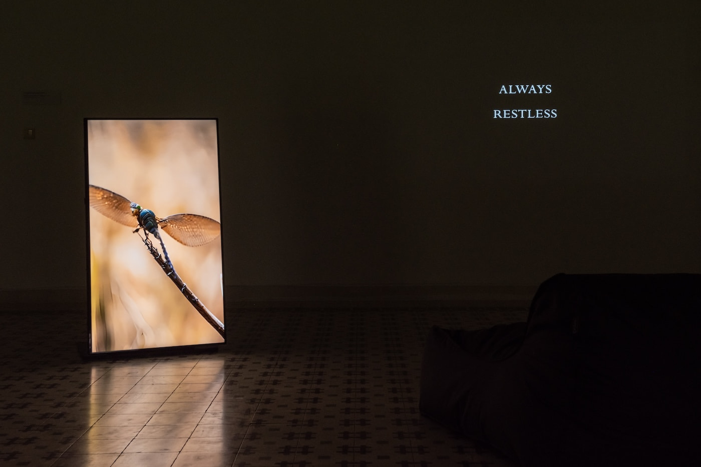 Eva Papamargariti, "All that now flows through us", Multi-channel video HD installation. View by George Sfakianakis