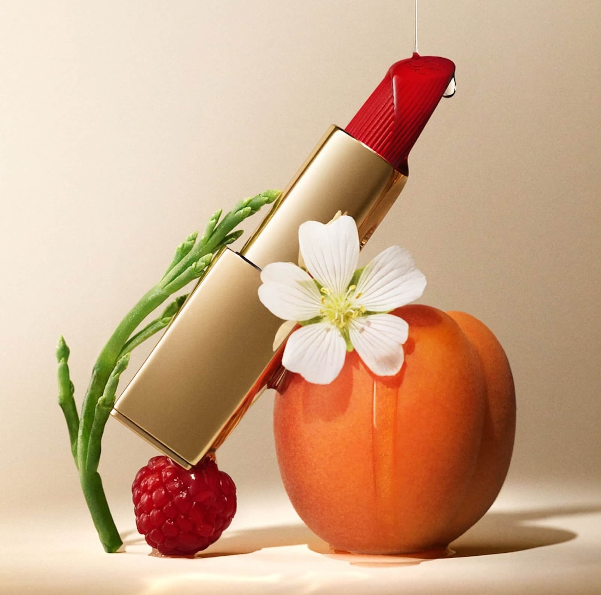 Estée Lauder, Pure Color Matte Lipstick (απόχρωση 667 Deny All)