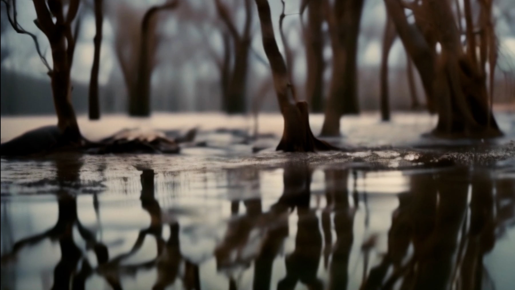 Eva Papamargariti, "All that now flows through us", Video Still 9