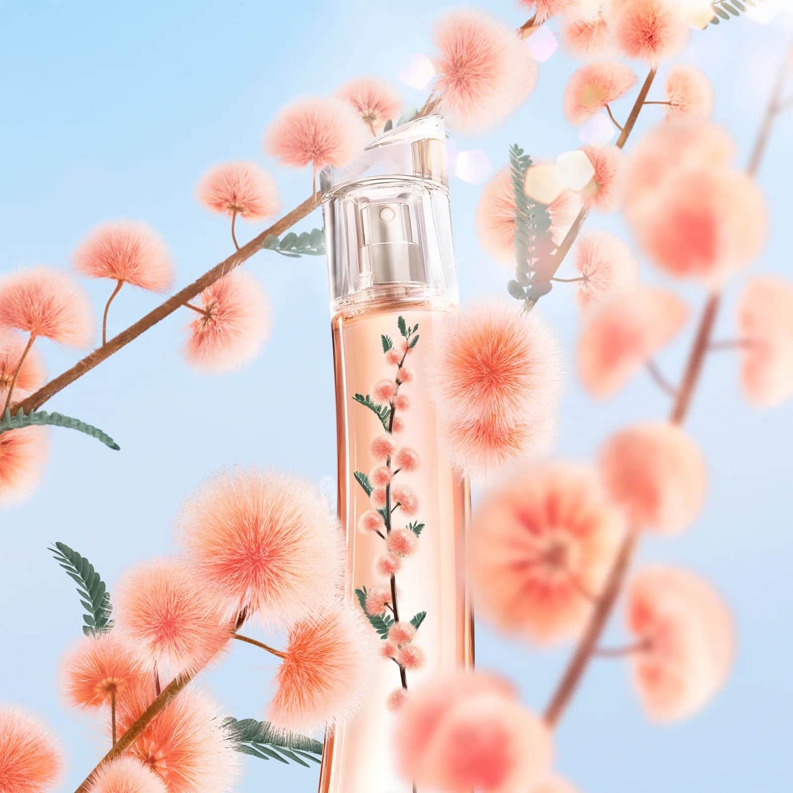 Κenzo, Flower Ikebana Mimosa