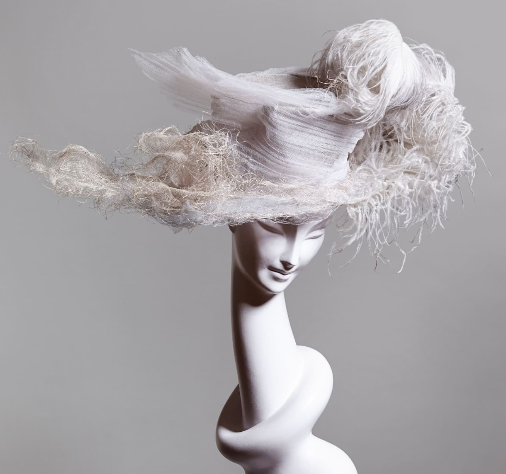 Stephen Jones, photo: A little bird