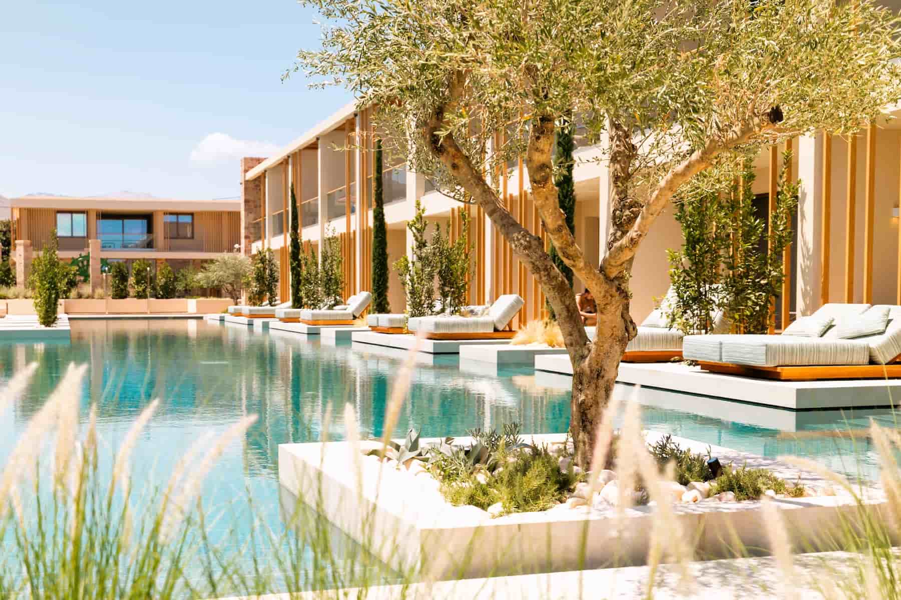 Swim Up Suites