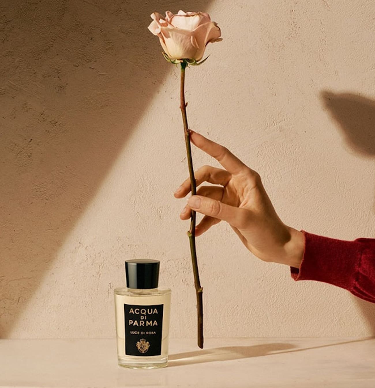 Αcqua Di Parma, Luce Di Rosa eau de parfum