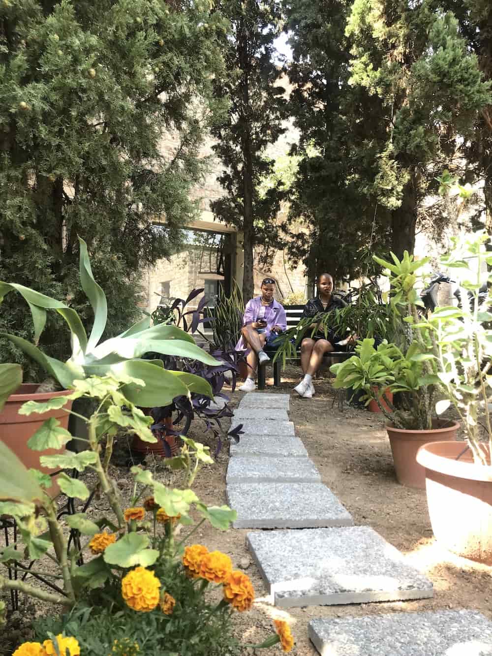 "Ο Κήπος της Όλγας Λεμεσός-Αθήνα, 2024". Μόνιμη εγκατάσταση φυτά, μεταφορά Λεμεσός-Αθήνα, Κήπος οικίας Όλγας Λοϊζίδου, οδός Ιθάκης 14, Λεμεσός-παρτέρι Δραματικής Σχολής του Εθνικού Θεάτρου | Σχολείον της Αθήνας - Ειρήνη Παπά, Πειραιώς 52, Αθήνα. Δωρεά: Όλγα Λοϊζίδου. Η εγκατάσταση πραγματοποιήθηκε σε συνεργασία με το Παπιγιόν Πρότζεκτ του Αχιλλέα Χαρίσκου, το οποίο έχει αναλάβει τη διατήρηση και φροντίδα του έργου και αποτελεί μέρος του δημόσιου προγράμματος της έκθεσης. Ευγενική παραχώρηση από την καλλιτέχνη, έργο κατ'ανάθεση από τον Οργανισμό ΝΕΟΝ.