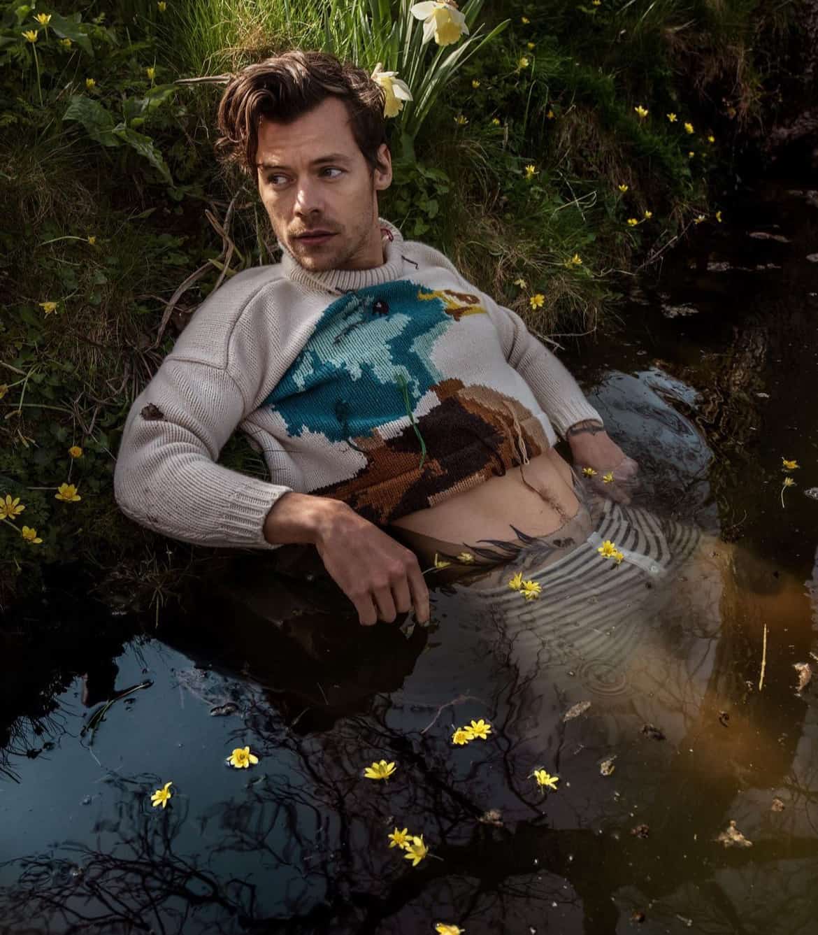 O Harry Styles φορώντας πλεκτό S.S. Daley