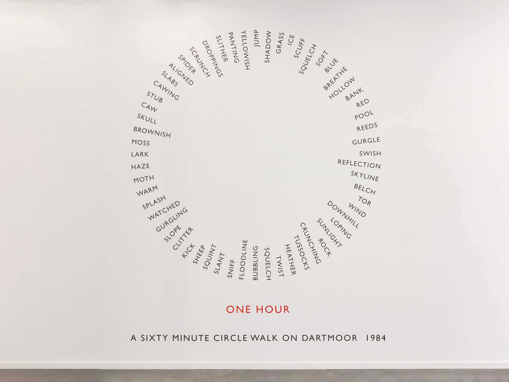 Richard Long, "ONE HOUR", 1984