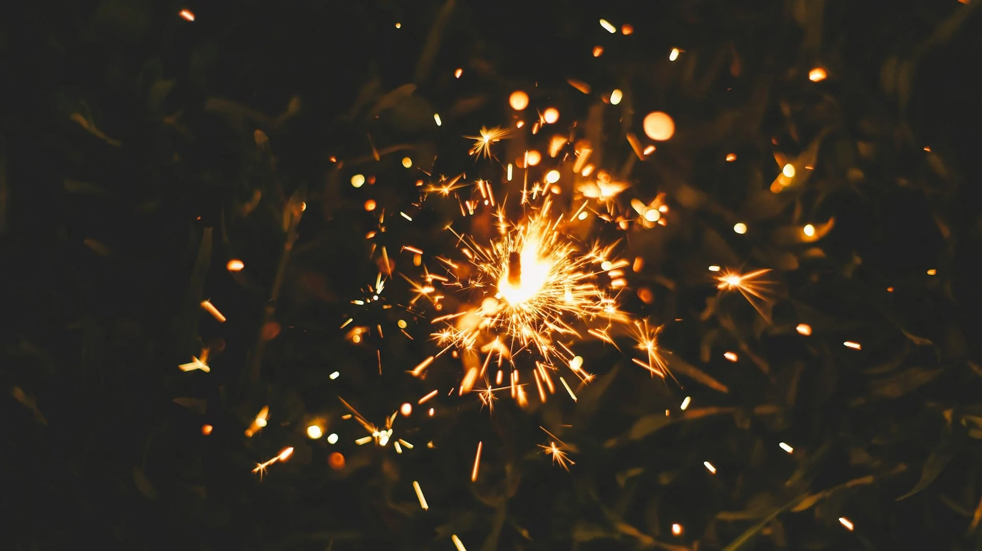 Januprasad, Unsplash