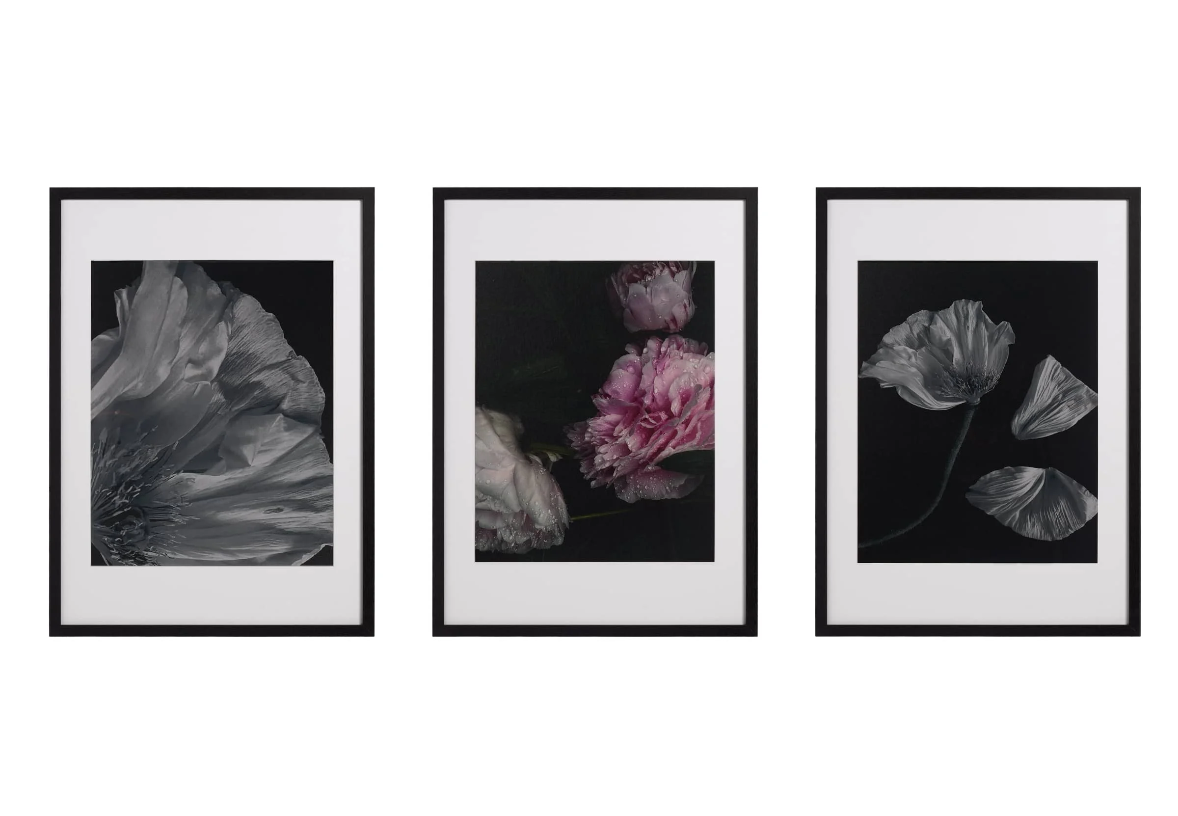 Flora Photo Art