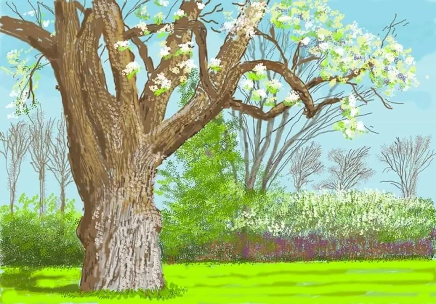 David Hockney, 27th March 2020, No. 1, 2020.