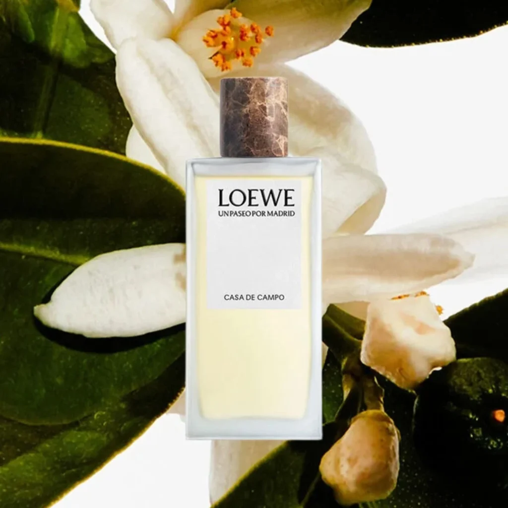 Η νέα γκάμα αρωμάτων Loewe μας ταξιδεύει στη Μαδρίτη 2 Η νέα γκάμα αρωμάτων Loewe μας ταξιδεύει στη Μαδρίτη