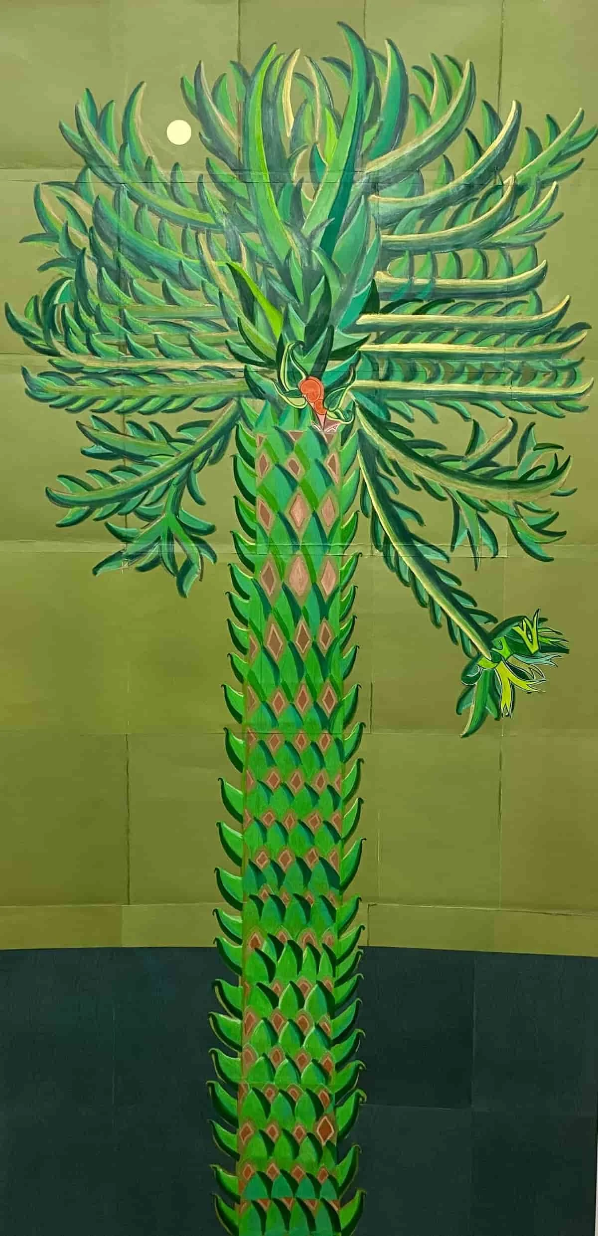 "Monkey Puzzle tree Araucaria araucana"