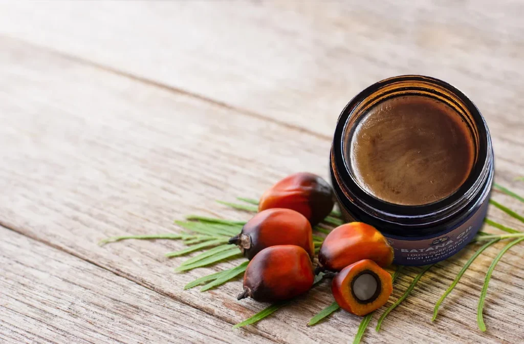 Batana oil για την αναγέννηση των ταλαιπωρημένων μαλλιών 1 Batana oil για την αναγέννηση των ταλαιπωρημένων μαλλιών