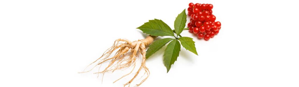 Ginseng: Έκρηξη κολλαγόνου & υαλουρονικού οξέος