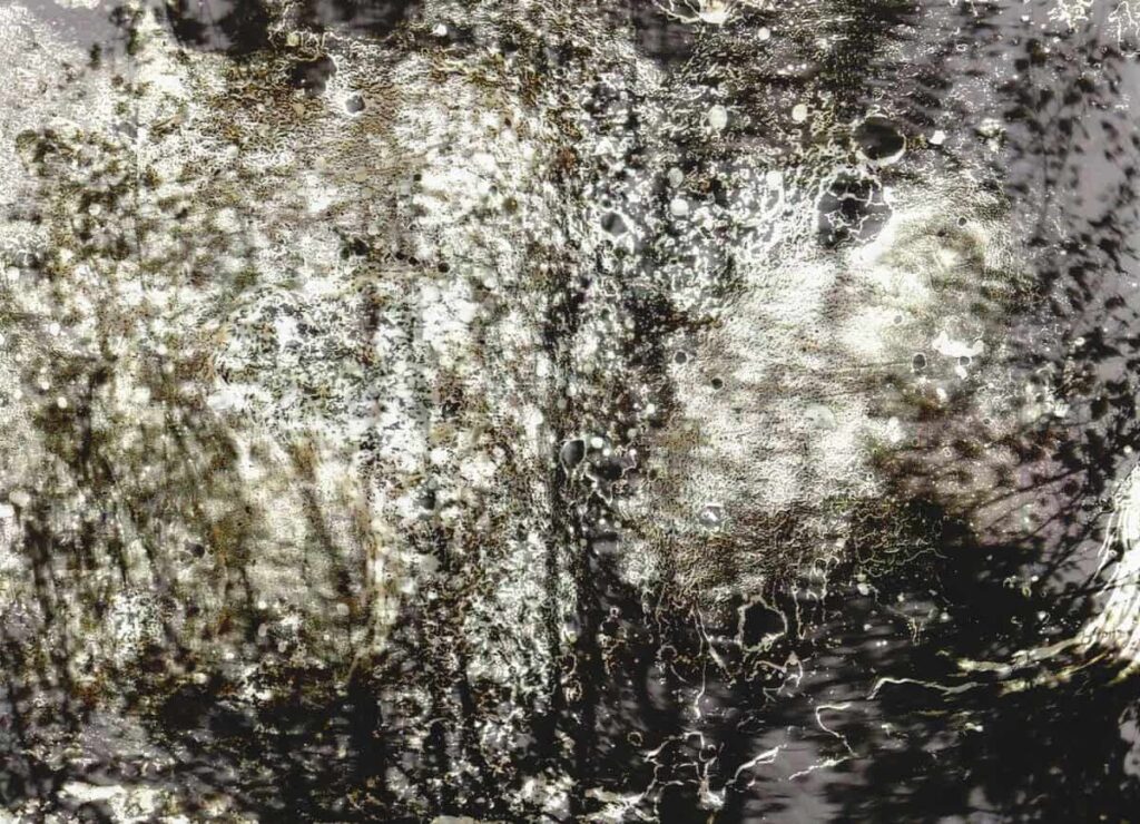 “Lumen de Lumine / Φως εκ Φωτός” στο Ίδρυμα Π. & Μ. Κυδωνιέως 4 Εικαστική έκθεση “Φως εκ Φωτός” στο Ίδρυμα Π. & Μ. Κυδωνιέως της Άνδρου