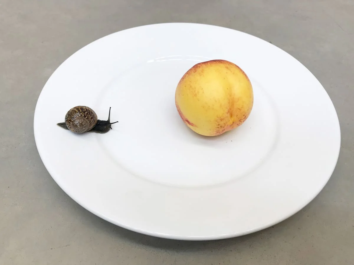 ©Juergen Teller, All rights Reserved (Leg, snails and peaches No.43, London 2017), με την ευγενική παραχώρηση της Στέγης.