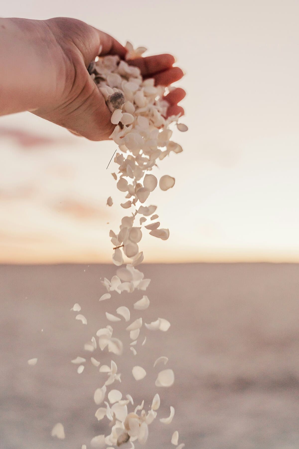 Michelle Mcewen, Unsplash
