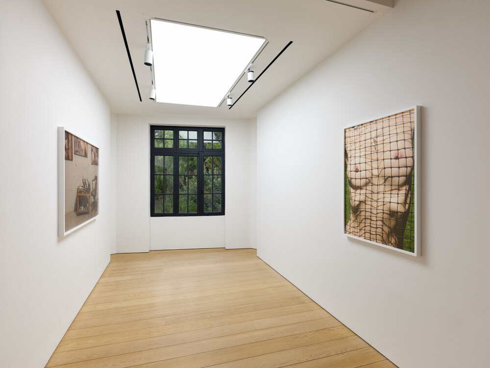 Rude in the Good Way, 2026, installation view © Roe Ethridge Photo: Stathis Mamalakis Courtesy Gagosian