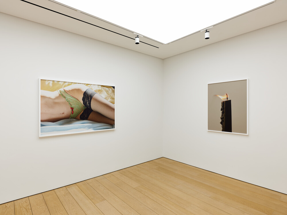 Rude in the Good Way, 2026, installation view © Roe Ethridge Photo: Stathis Mamalakis Courtesy Gagosian