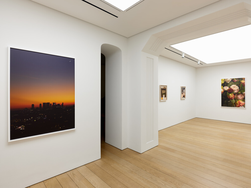 Rude in the Good Way, 2026, installation view © Roe Ethridge Photo: Stathis Mamalakis Courtesy Gagosian