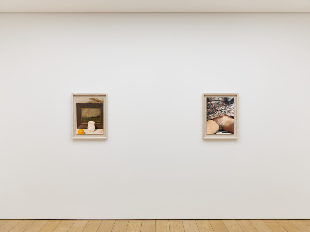 Rude in the Good Way, 2026, installation view © Roe Ethridge Photo: Stathis Mamalakis Courtesy Gagosian
