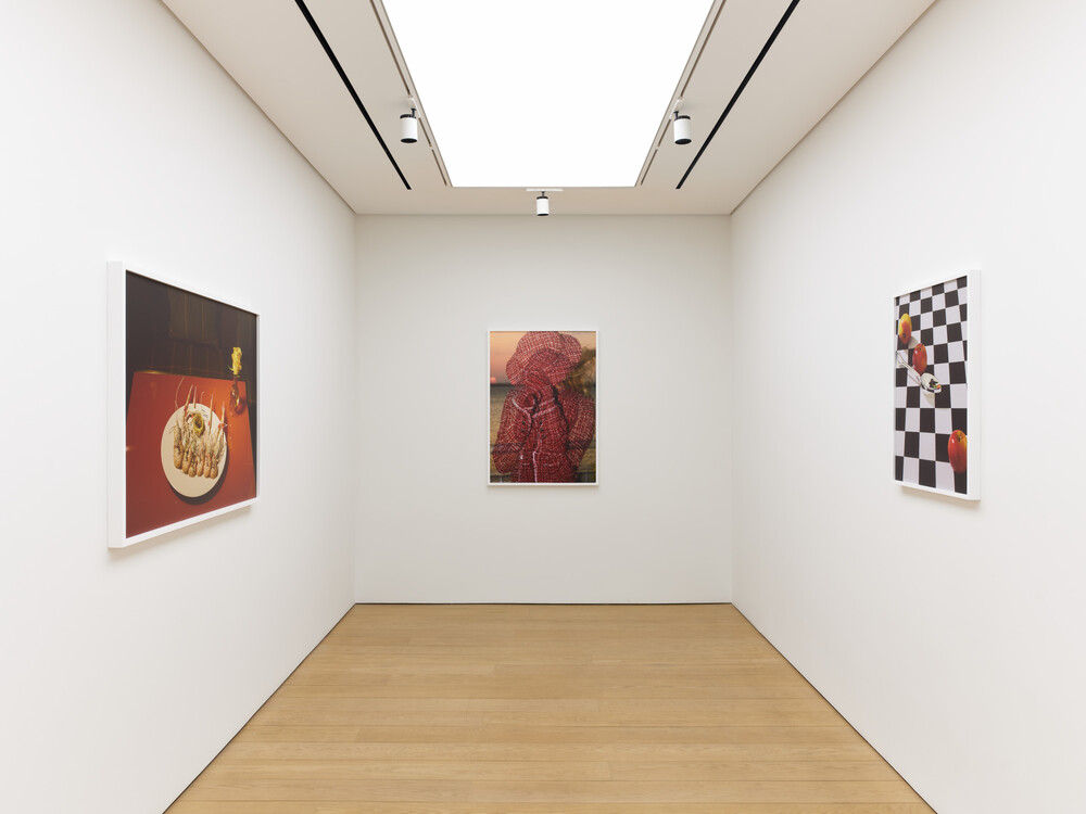 Rude in the Good Way, 2026, installation view © Roe Ethridge Photo: Stathis Mamalakis Courtesy Gagosian