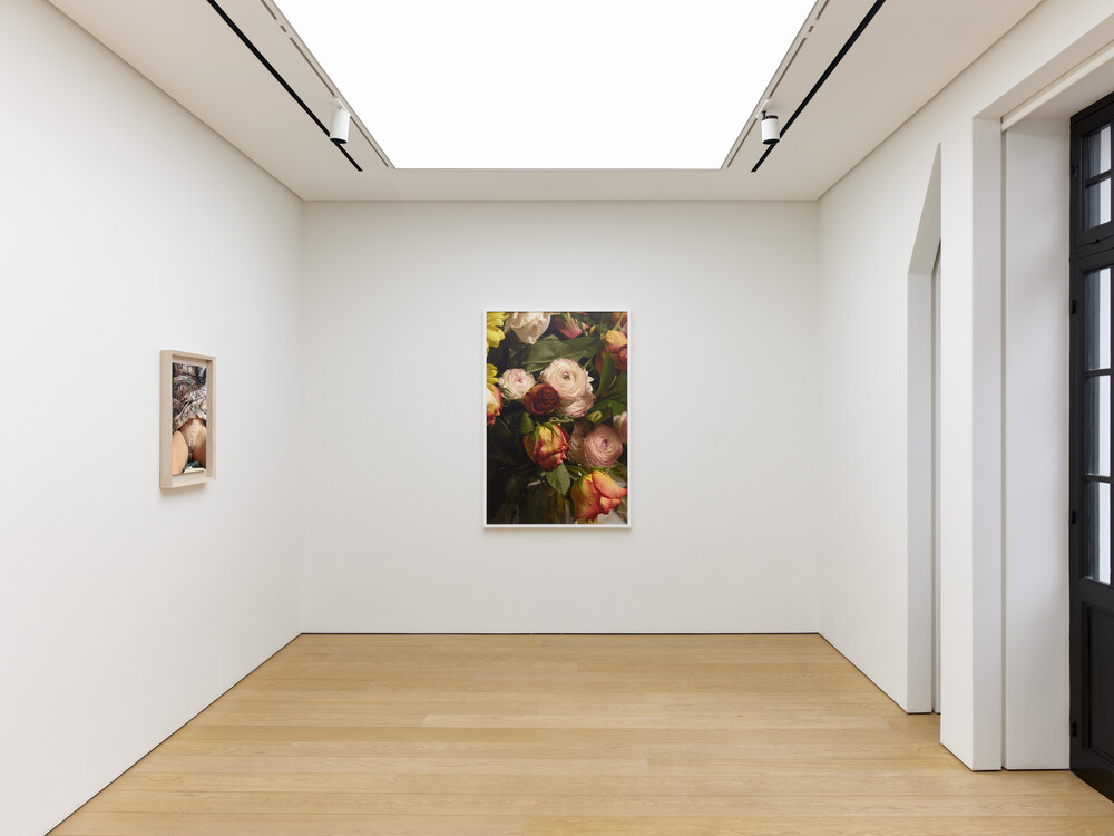 Rude in the Good Way, 2026, installation view © Roe Ethridge Photo: Stathis Mamalakis Courtesy Gagosian