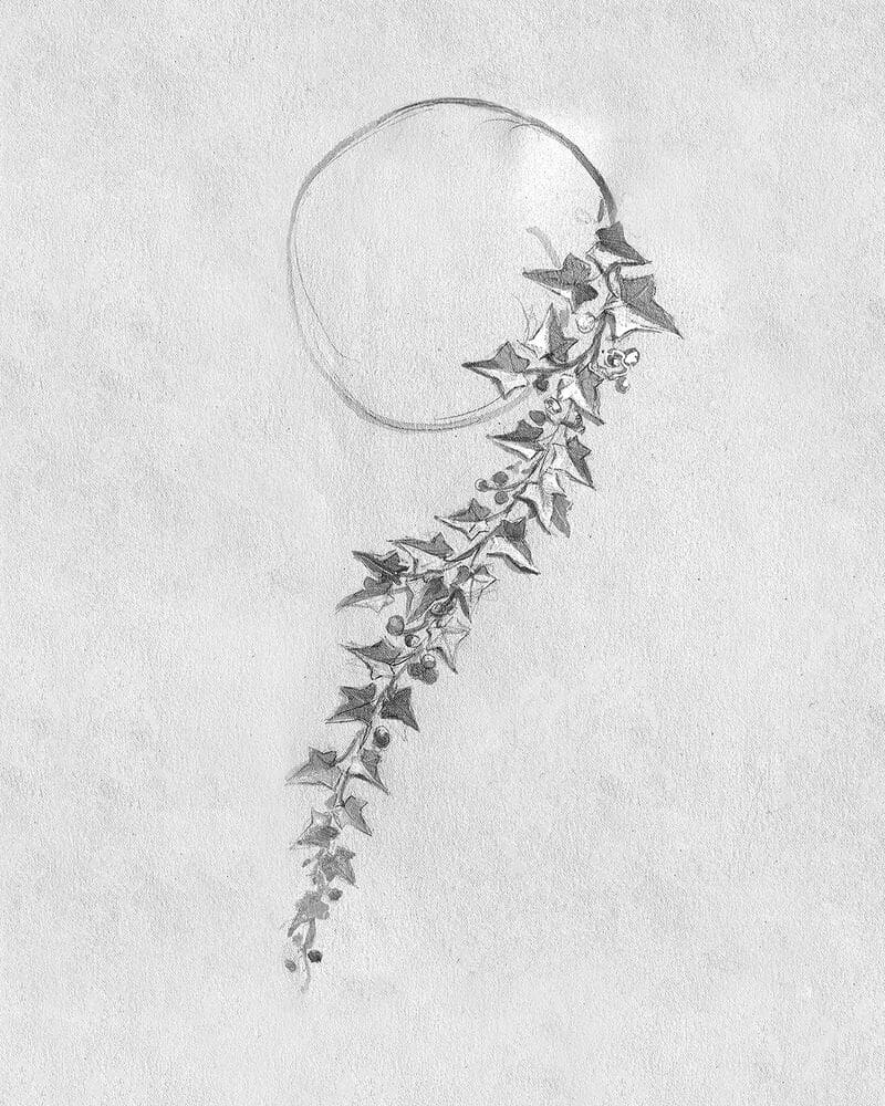 Ιnspiration for The Untamed 1879 © Archives Boucheron