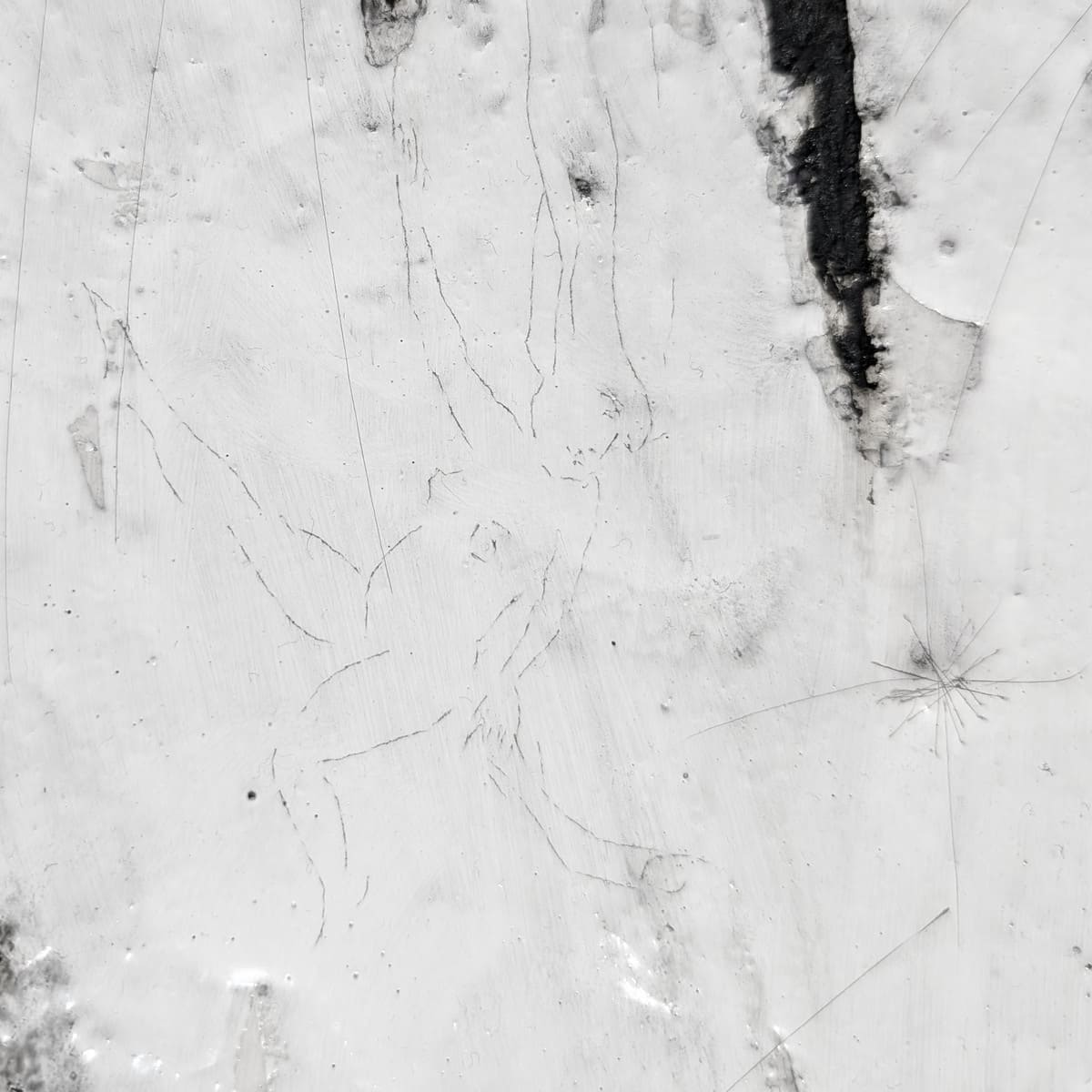 Socrates Fatouros (detail) 2025_1