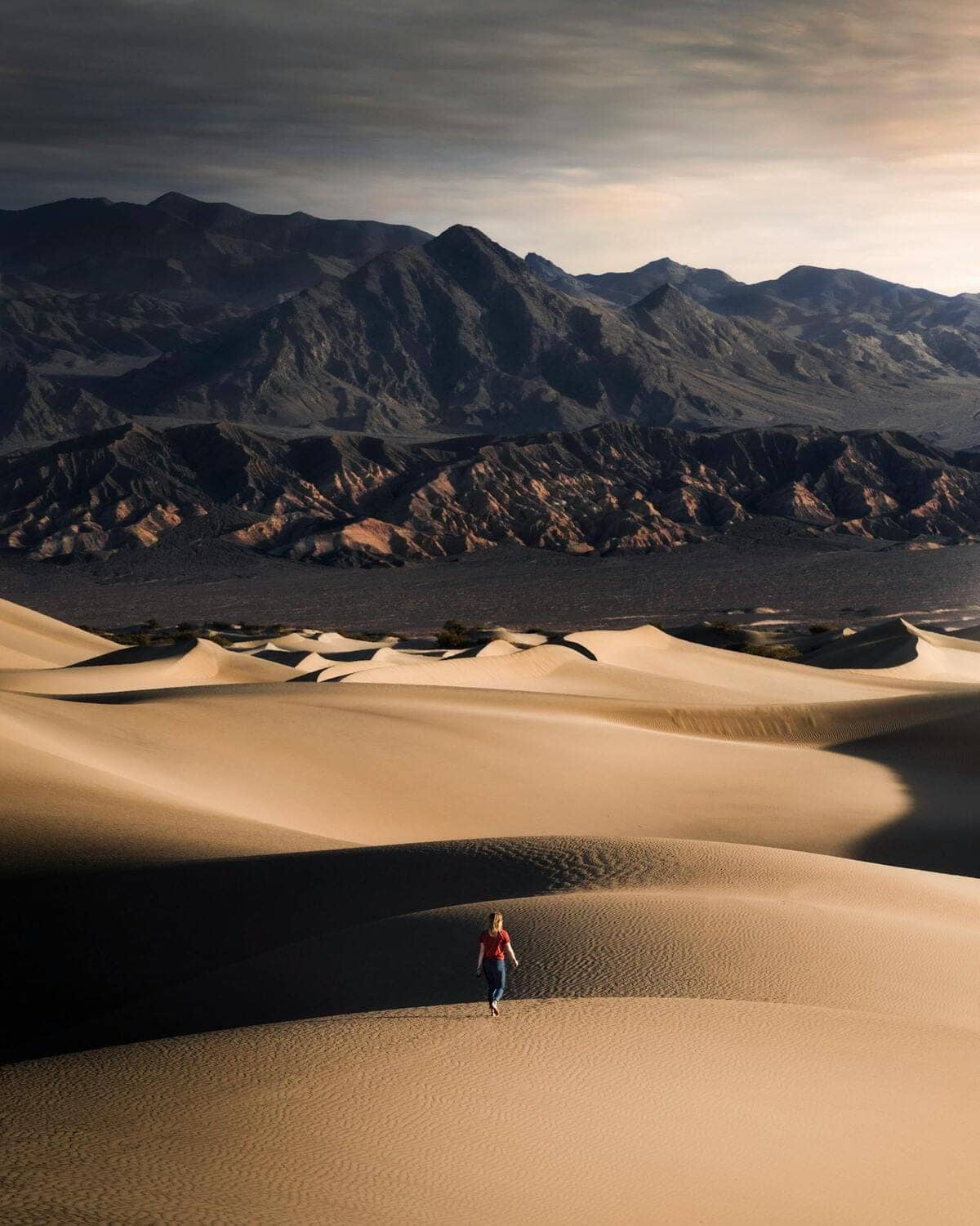 Trace Hudson, Pexels