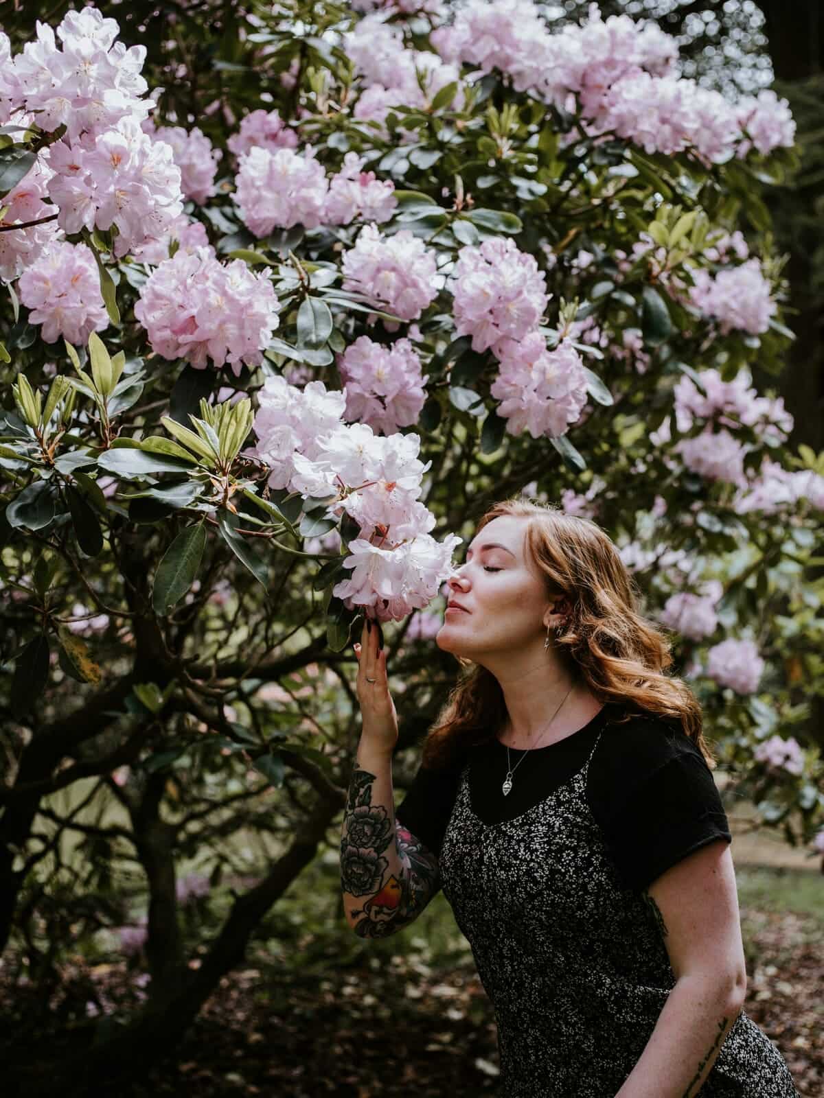 Annie Spratt, Unsplash