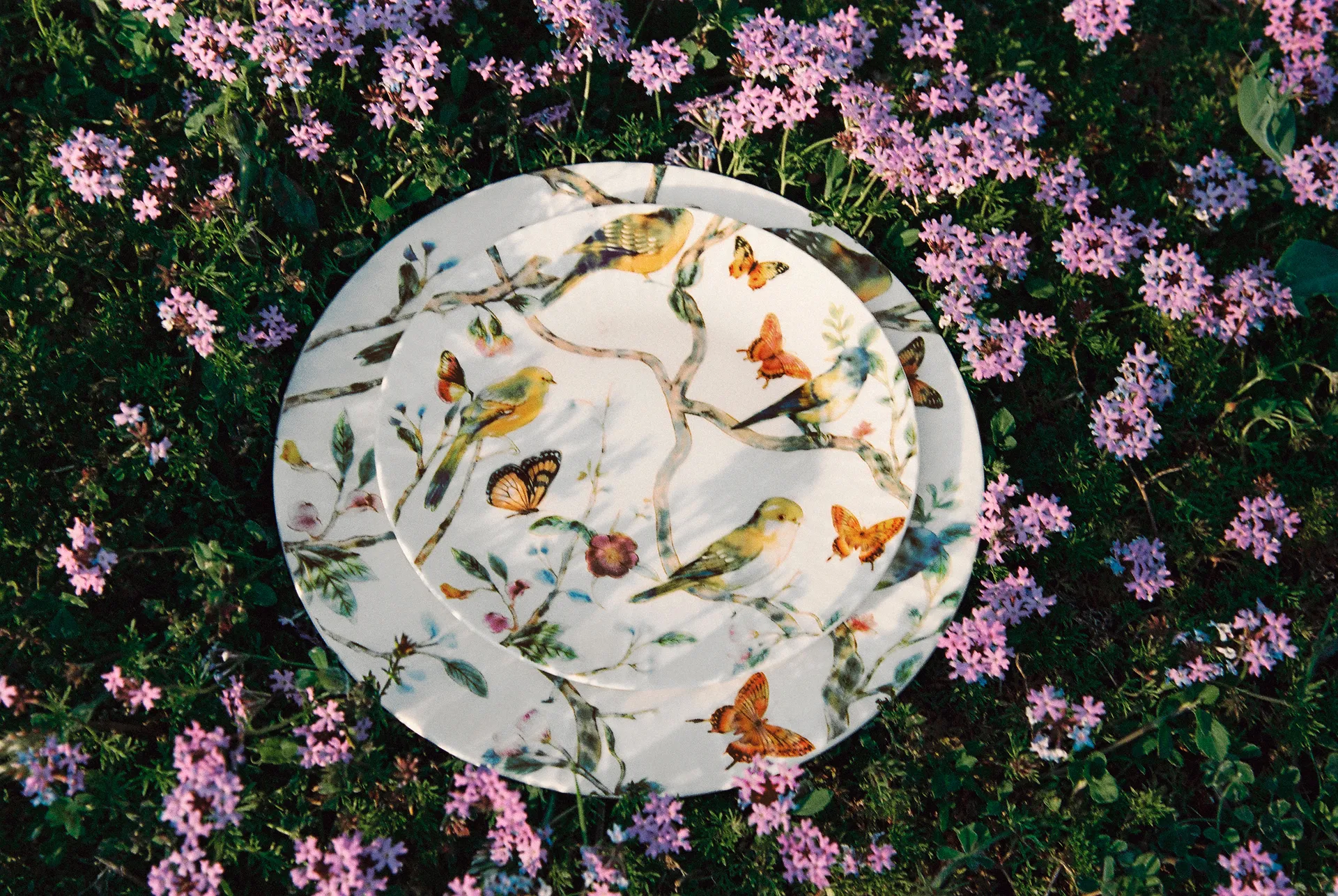 Marisa Berenson x Zara Home ΣΕΤ ΠΙΑΤΑ 9.99 €  - 12.99 € 
